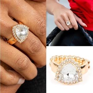 🐾 Tour De Timeless🐣